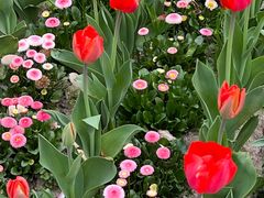 -杭州师范大学(下沙校区)