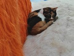 -昆山招商花园城