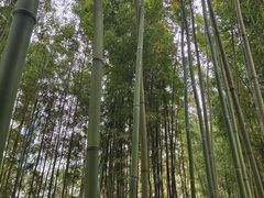 -柳侯公园