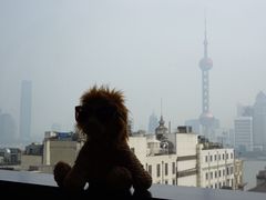 -上海外滩华尔道夫酒店