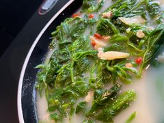 -羽鸽集·乳鸽专门店·地道顺德菜(岭南站店)