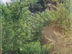 -野三坡清泉山风景区