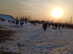 -绿野森林乐园冰雪季