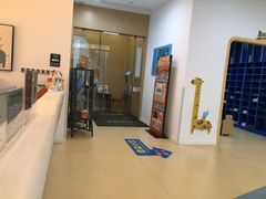 -戊辰亲子游泳俱乐部