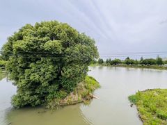 -广富林郊野公园