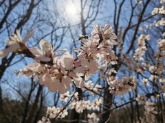 -鹫峰国家森林公园