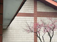 -浙江省博物馆(孤山馆区)