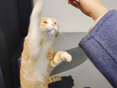 -极木²邸 人与宠物·互动社区
