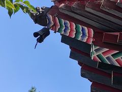 -长安寺