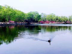 -圆明园遗址公园-藻园门售票处