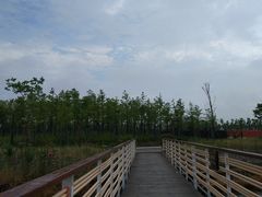 -春花秋色城市公园