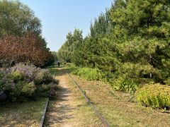 -永定河休闲森林公园