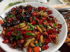 -老七钵钵鸡
