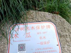 -秋霞圃