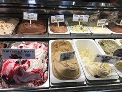 -Dooley's Premium Ice Cream