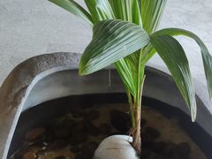 -三亚亚龙湾雅高美爵酒店