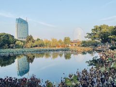 -无锡蠡湖国家湿地公园-蠡园