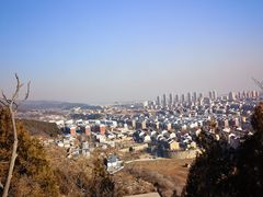 -府君山公园