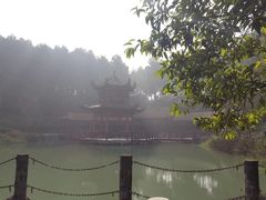 -铁山坪森林公园