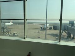 -东营胜利机场