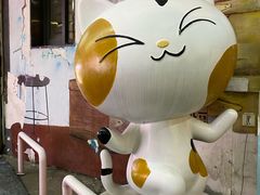 -猫咪博物馆(顶澳仔猫街店)