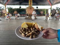 -基诺山寨.版纳民族特色菜