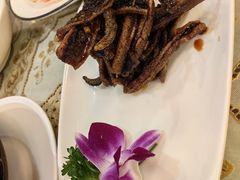 -新聚丰菜馆(太监弄店)