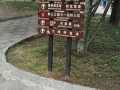 android_upload_pic-碧云寺