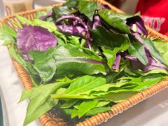 -龙泉人椰子鸡.糟粕醋.海南菜(三亚旗舰店)