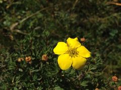 iphone_upload_pic-日月山景区