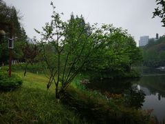 -重庆彩云湖湿地公园