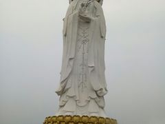 -白洋淀景区