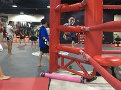 -格斗兄弟搏击健身训练馆(望京店)