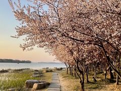-长广溪湿地公园