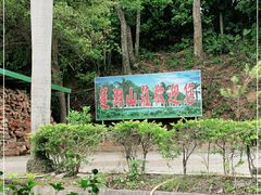 -莲湖山庄