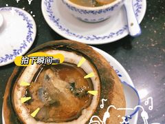 原只椰子炖竹丝鸡-達揚原味燉品(文明路店)