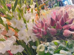 -朝来春花卉市场