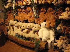 -济州岛泰迪熊博物馆