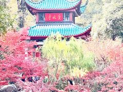 -岳麓山风景名胜区