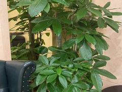 -花湖会所·高端水疗商务泡浴SPA(高新店)