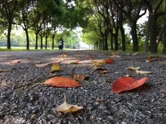 -尚贤河湿地