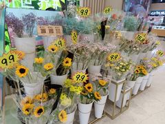 -米莱欧百货(吉利店)