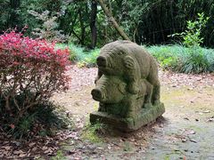 -千岛湖东南湖区