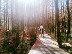 -青峰峡国家森林公园