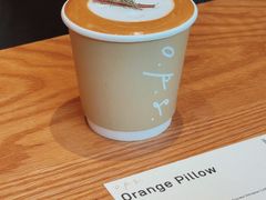 orange&nbsp;pillow-O.P.S. CAFE