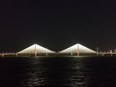 -武汉两江游览·夜游长江(汉口粤汉码头)