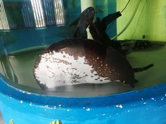 -泉州海丝野生动物世界