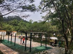 -滴水岩森林公园