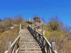 -大岭沟猕猴桃谷风景区