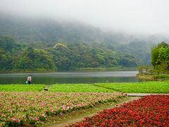 -广州市石门国家森林公园